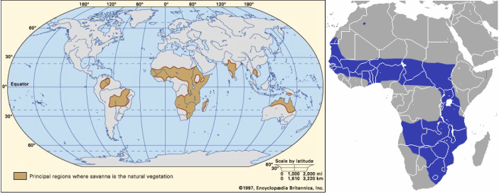 Savanna Biome World Map